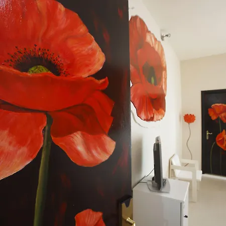 Hotel Alexander Museum Palace 4*